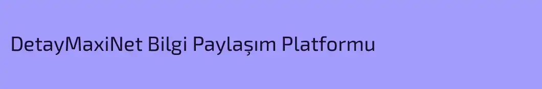 DetayMaxiNet Bilgi Paylaşım Platformu